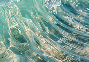 Loob Design